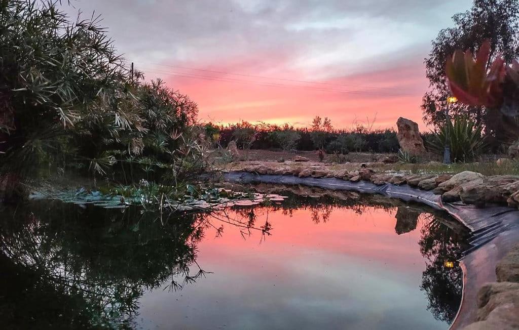 Il Giardino Di Afrodite Marinella di Selinunte Exterior foto