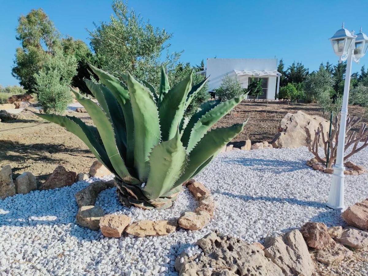 Il Giardino Di Afrodite Marinella di Selinunte Exterior foto